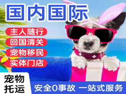 长春龙嘉机场物流国际宠物托运 【国